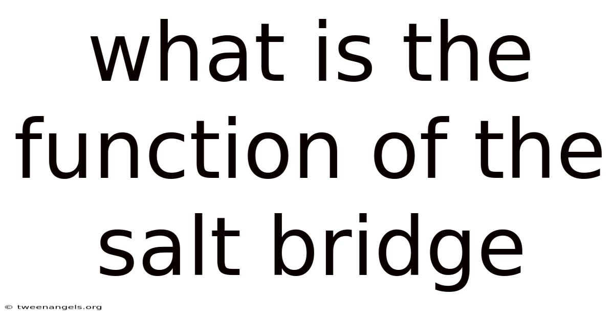What Is The Function Of The Salt Bridge
