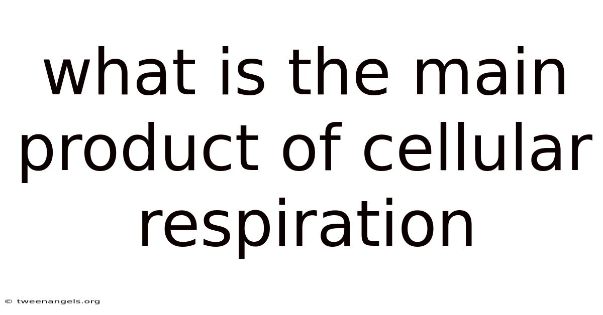 What Is The Main Product Of Cellular Respiration