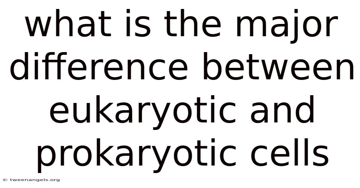 What Is The Major Difference Between Eukaryotic And Prokaryotic Cells