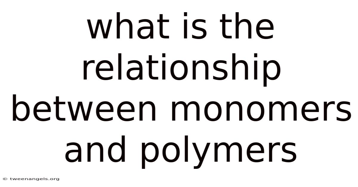 What Is The Relationship Between Monomers And Polymers