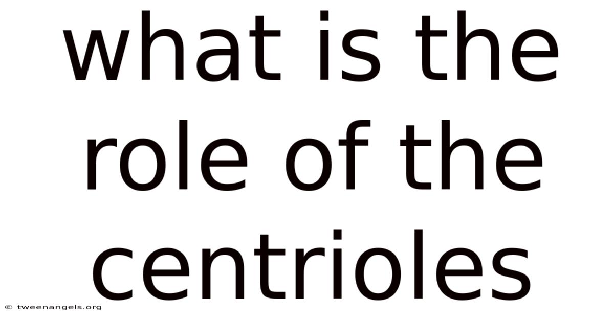 What Is The Role Of The Centrioles