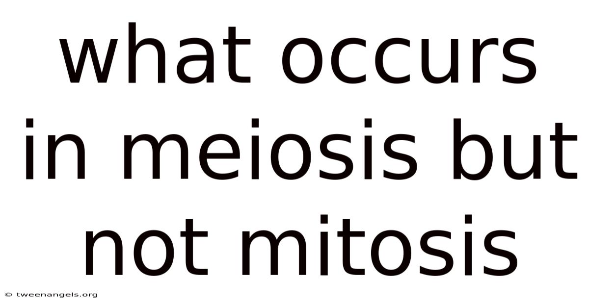 What Occurs In Meiosis But Not Mitosis
