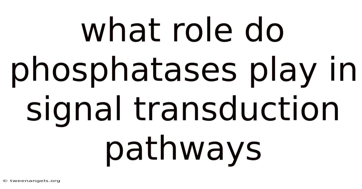 What Role Do Phosphatases Play In Signal Transduction Pathways