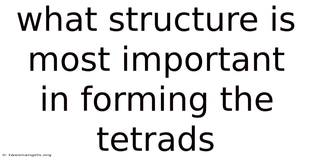 What Structure Is Most Important In Forming The Tetrads