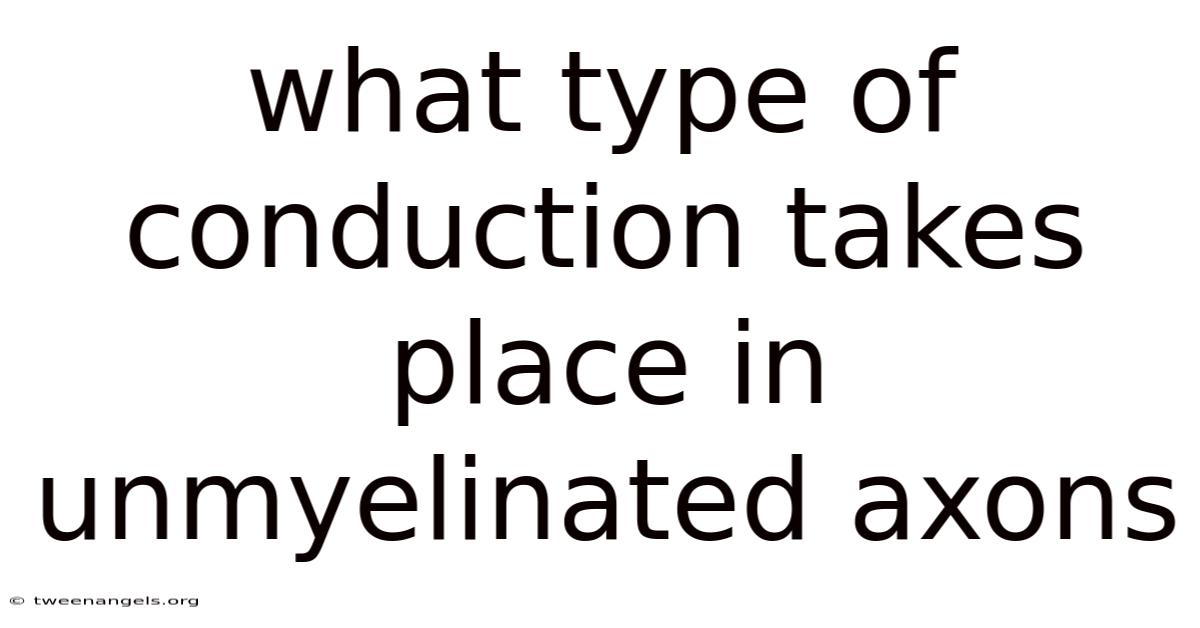 What Type Of Conduction Takes Place In Unmyelinated Axons