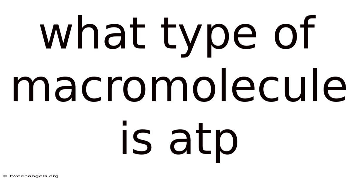 What Type Of Macromolecule Is Atp