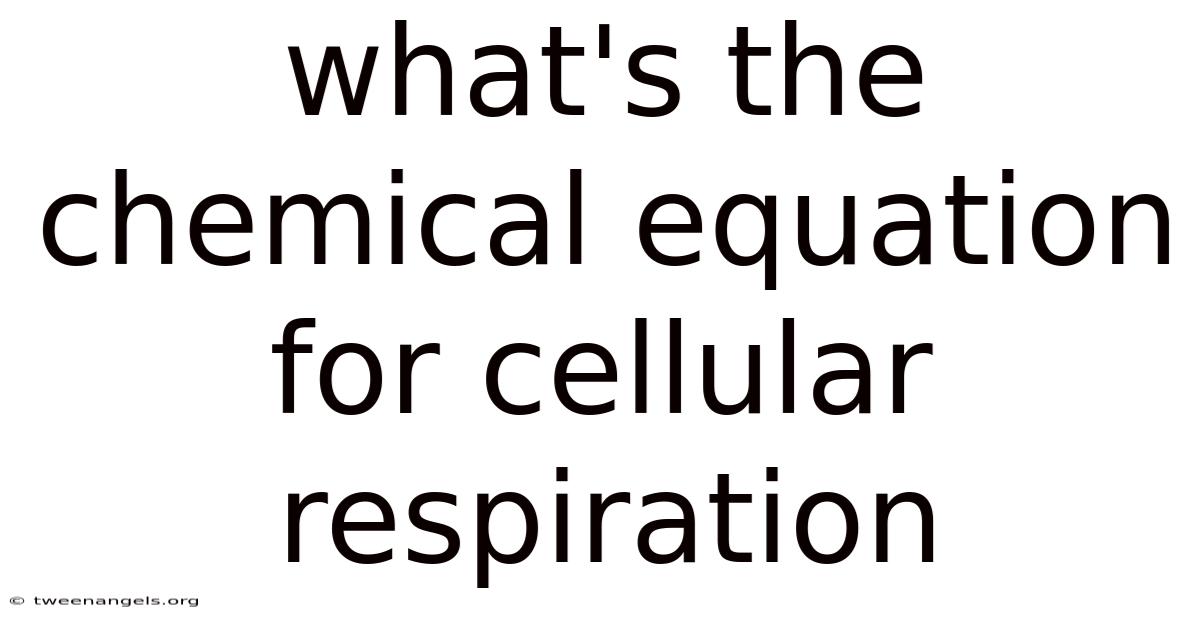 What's The Chemical Equation For Cellular Respiration