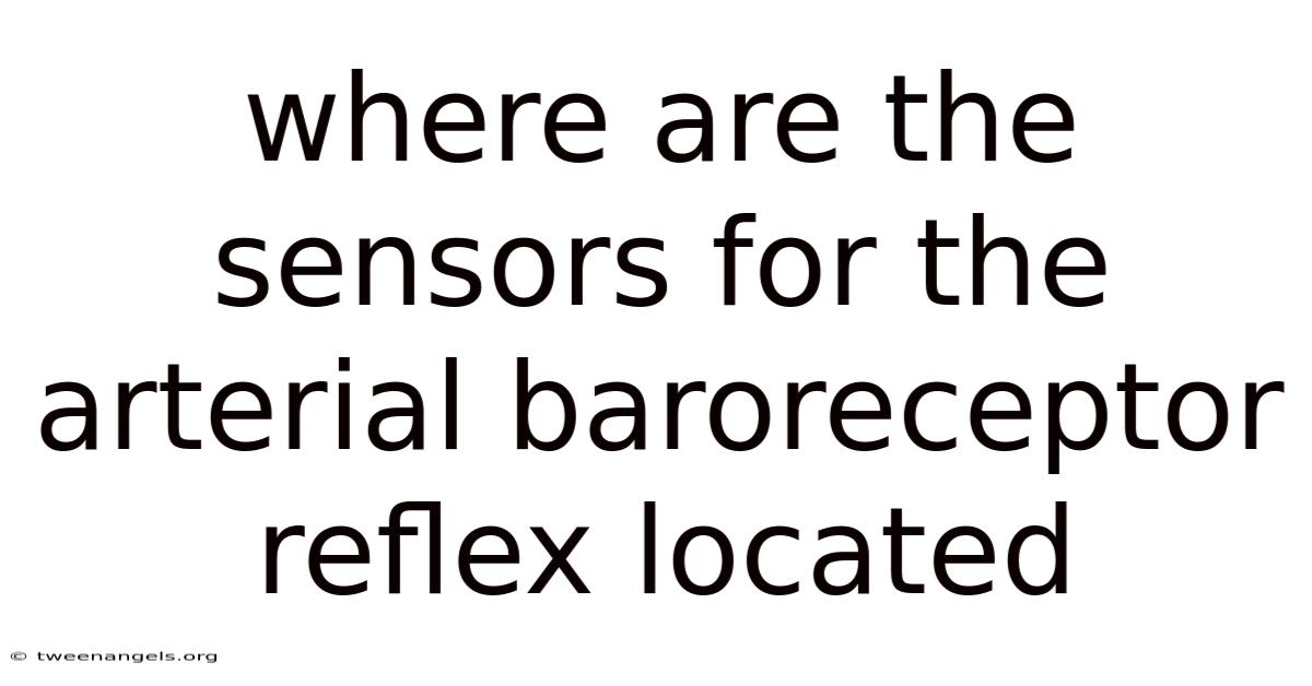 Where Are The Sensors For The Arterial Baroreceptor Reflex Located