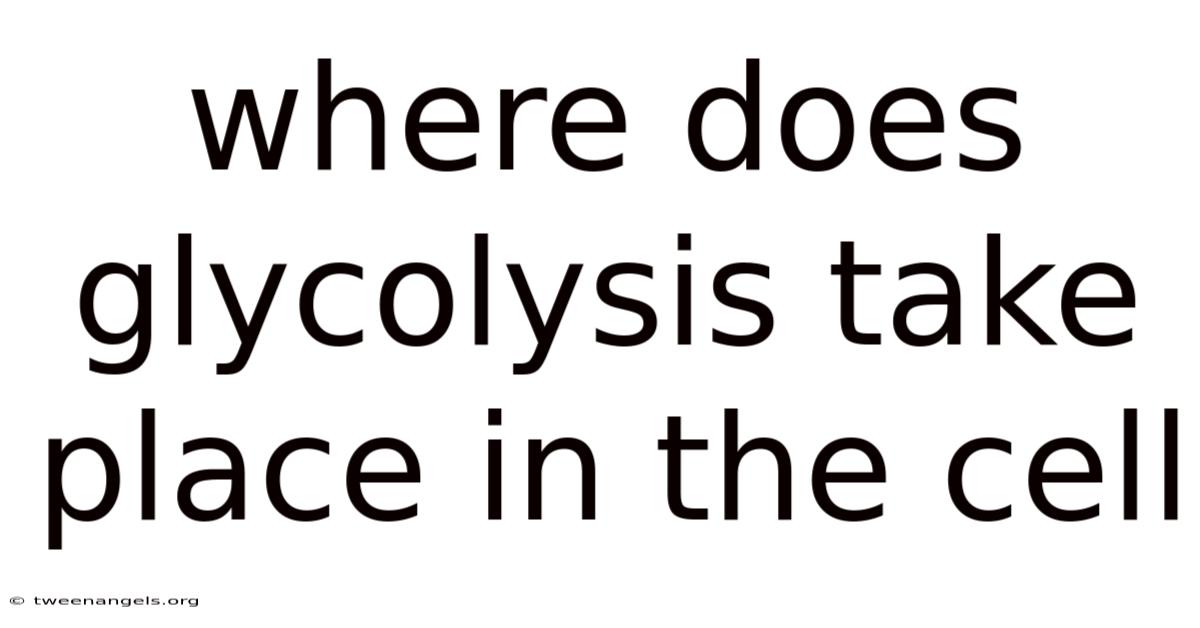 Where Does Glycolysis Take Place In The Cell