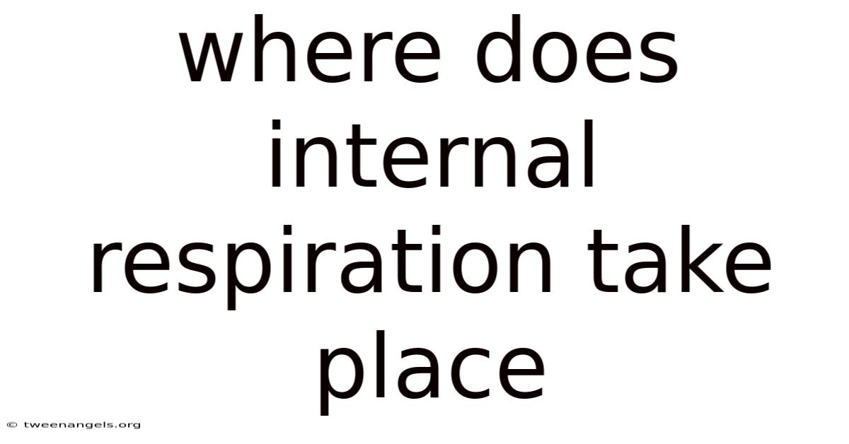 Where Does Internal Respiration Take Place