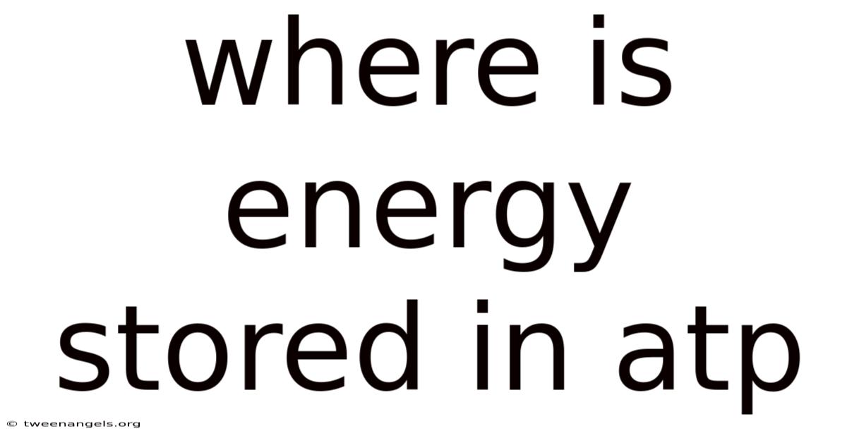 Where Is Energy Stored In Atp