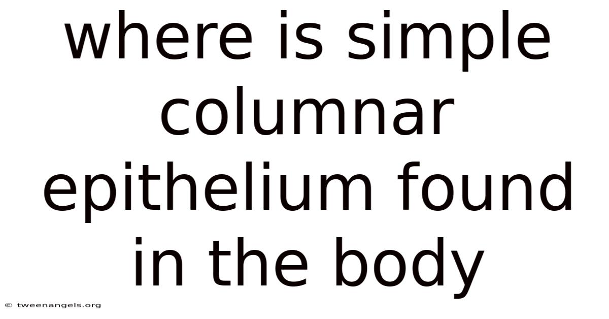 Where Is Simple Columnar Epithelium Found In The Body