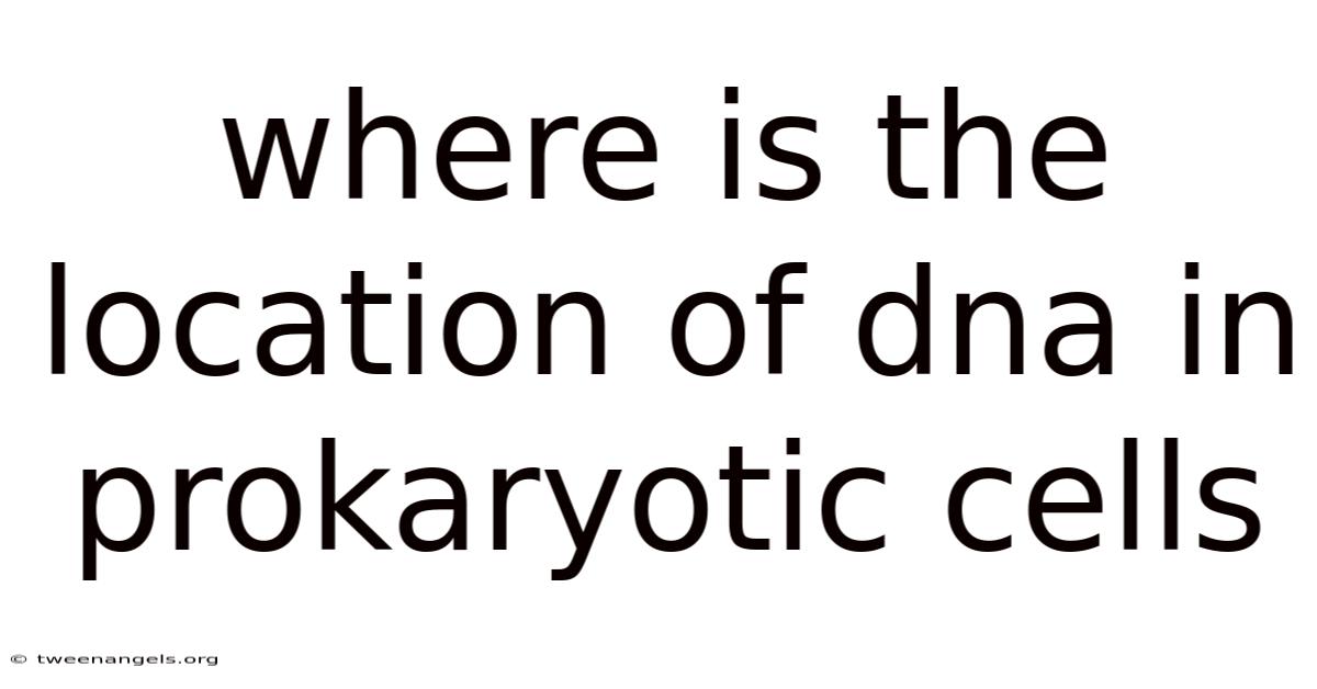 Where Is The Location Of Dna In Prokaryotic Cells