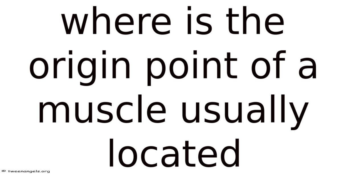 Origin Point Treatment Where Is The Origin Point Of A Muscle Usually Located