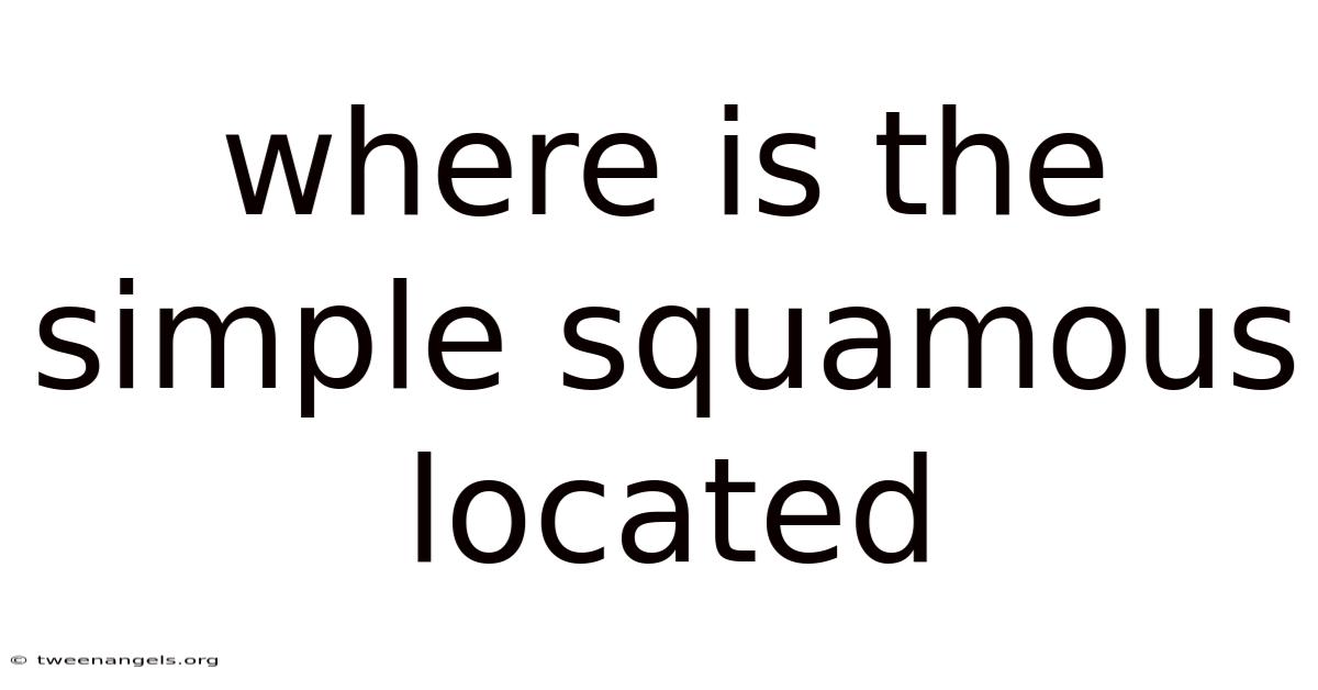Where Is The Simple Squamous Located