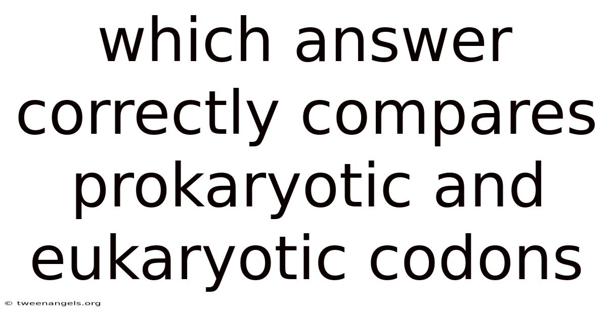 Which Answer Correctly Compares Prokaryotic And Eukaryotic Codons