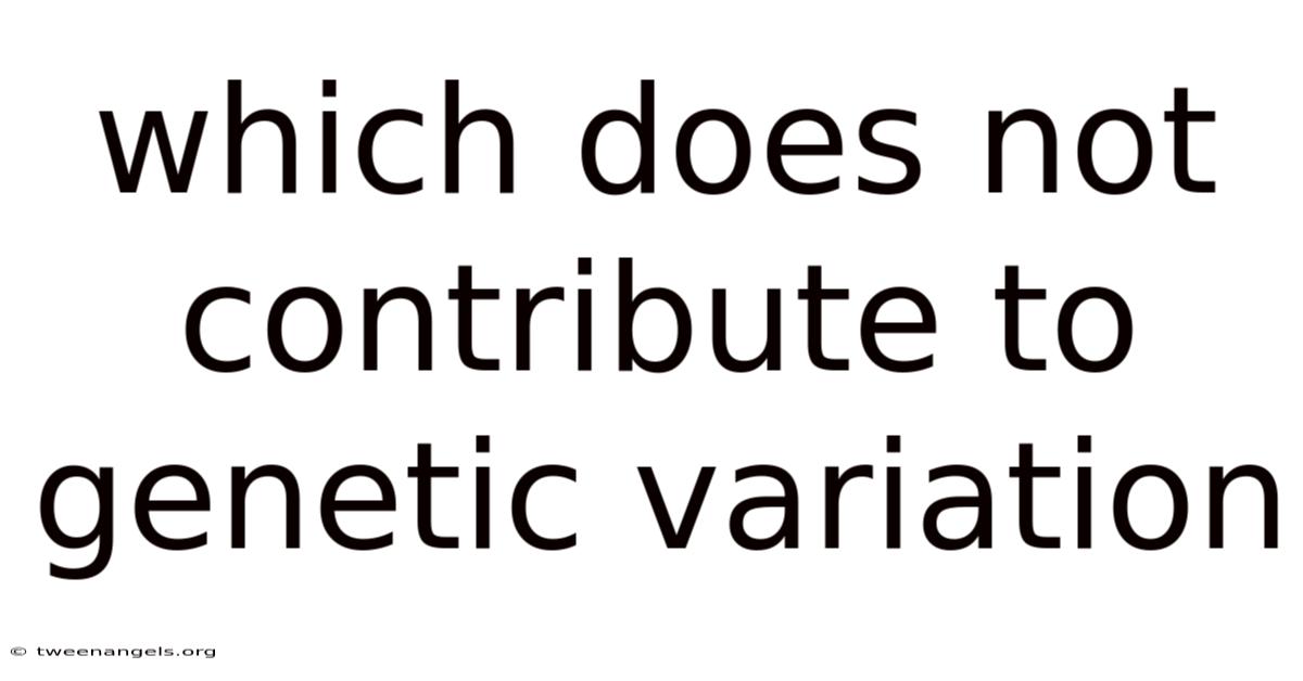 Which Does Not Contribute To Genetic Variation