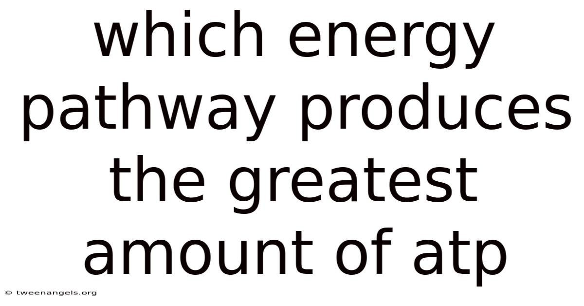 Which Energy Pathway Produces The Greatest Amount Of Atp