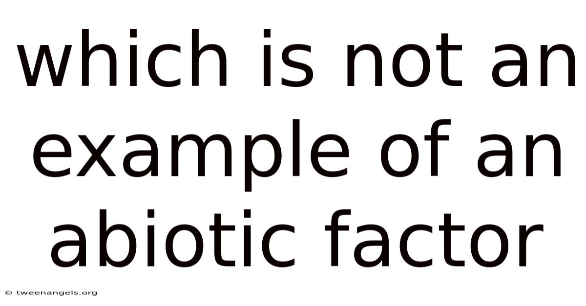 Which Is Not An Example Of An Abiotic Factor