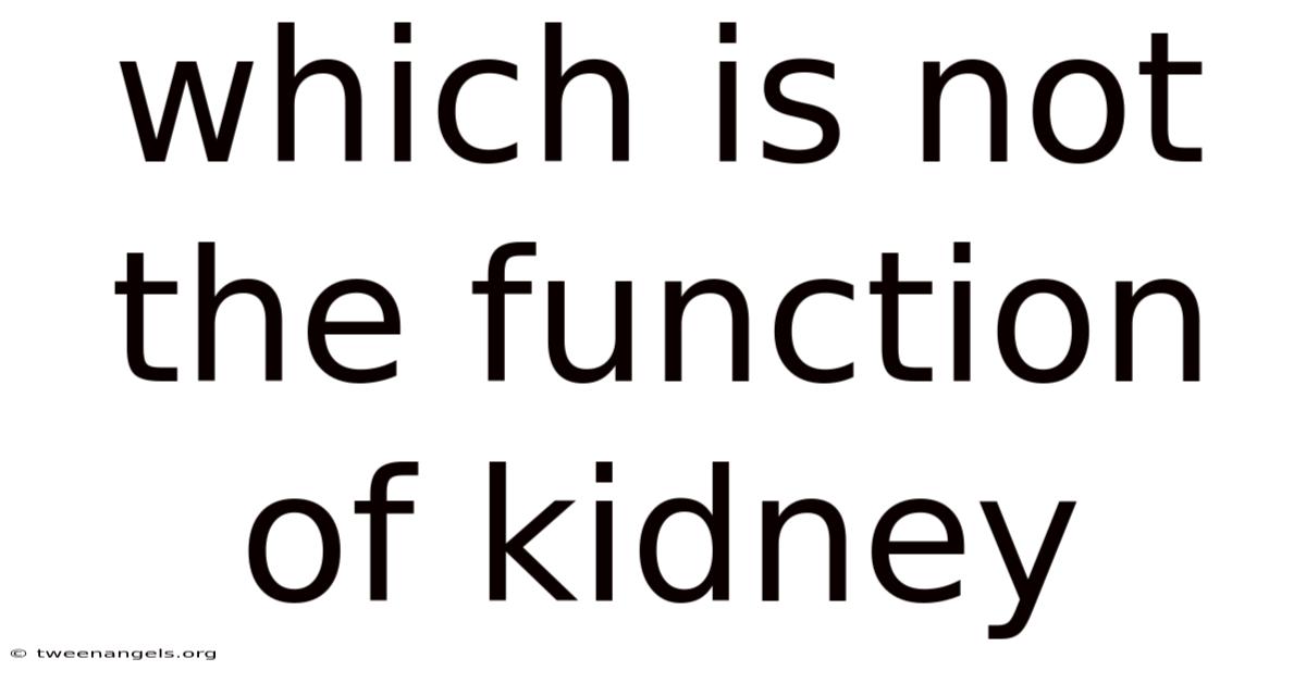 Which Is Not The Function Of Kidney