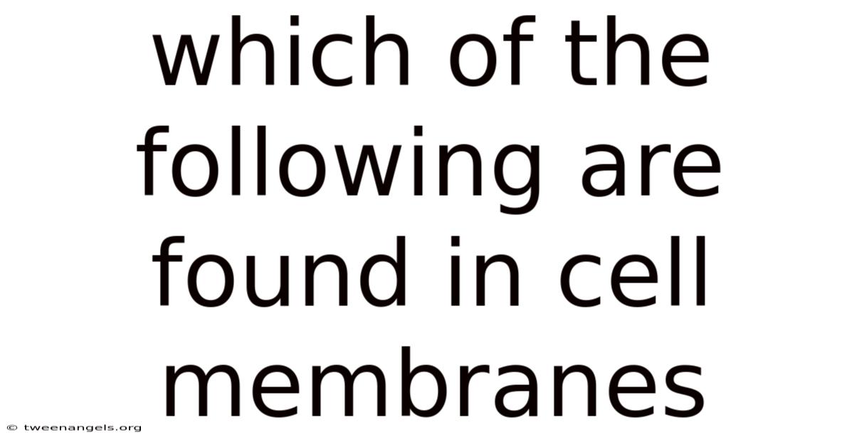 Which Of The Following Are Found In Cell Membranes