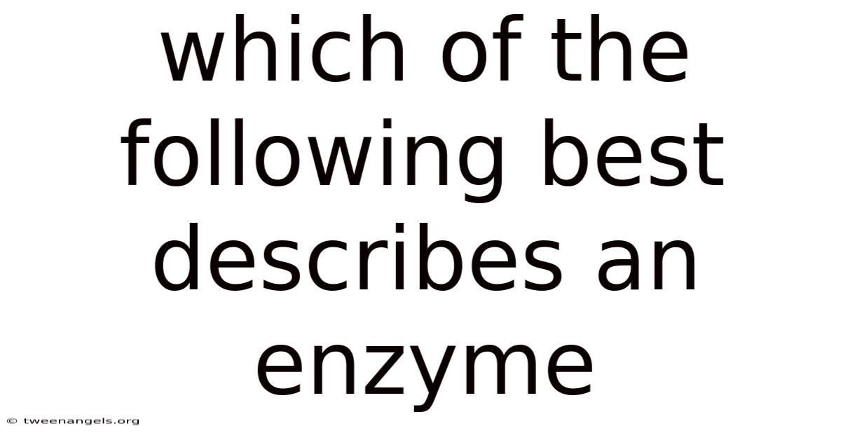 Which Of The Following Best Describes An Enzyme