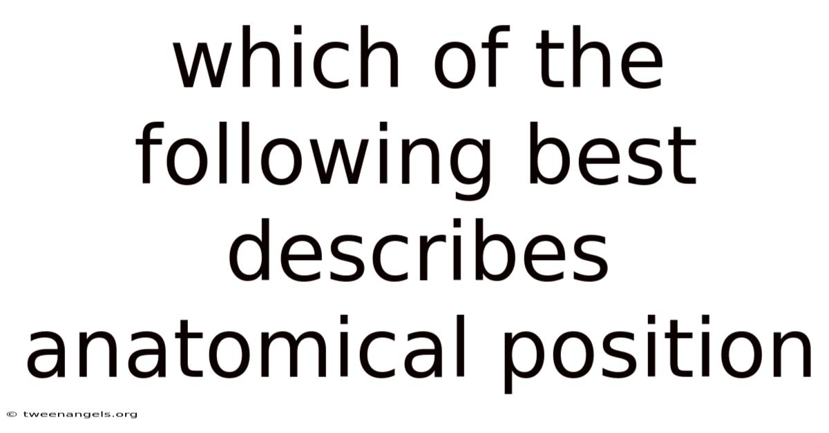 Which Of The Following Best Describes Anatomical Position