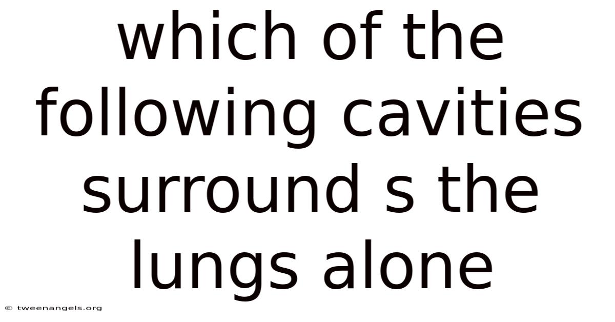 Which Of The Following Cavities Surround S The Lungs Alone