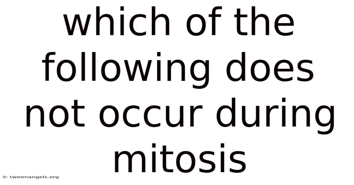 Which Of The Following Does Not Occur During Mitosis