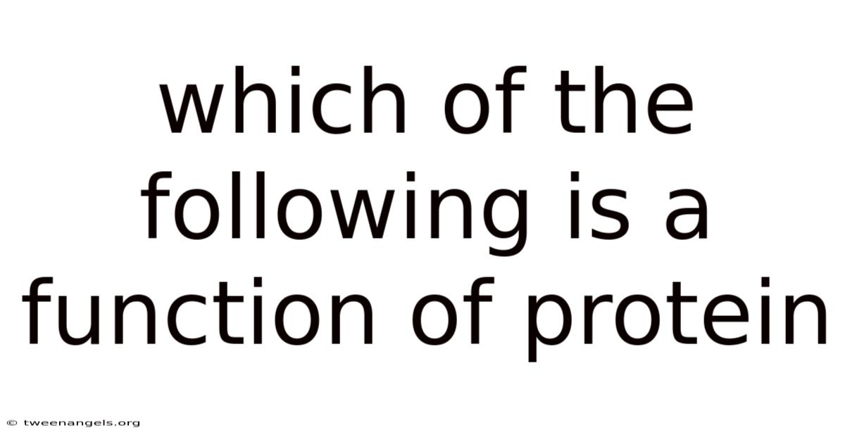 Which Of The Following Is A Function Of Protein