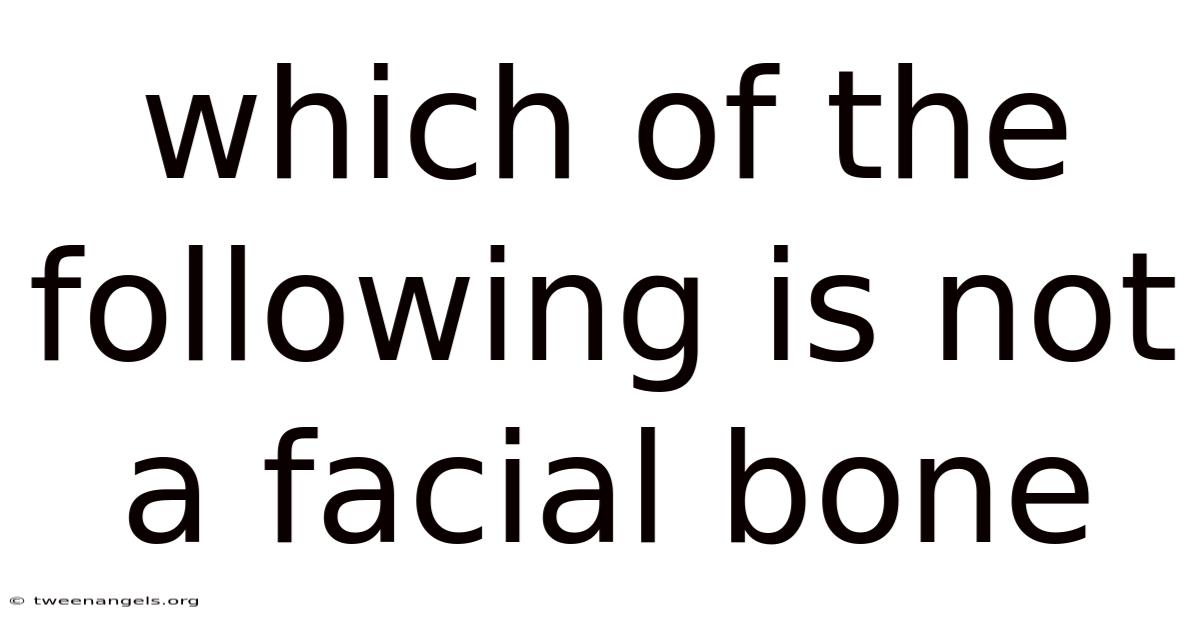 Which Of The Following Is Not A Facial Bone
