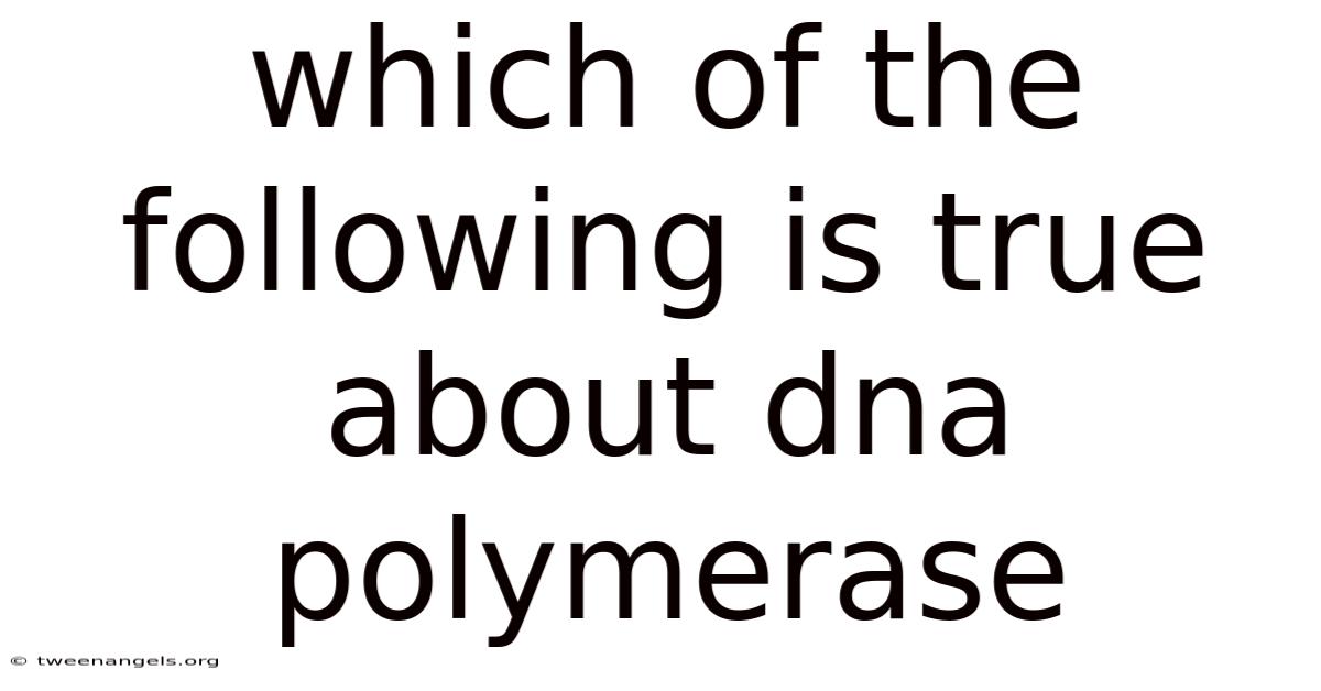 Which Of The Following Is True About Dna Polymerase
