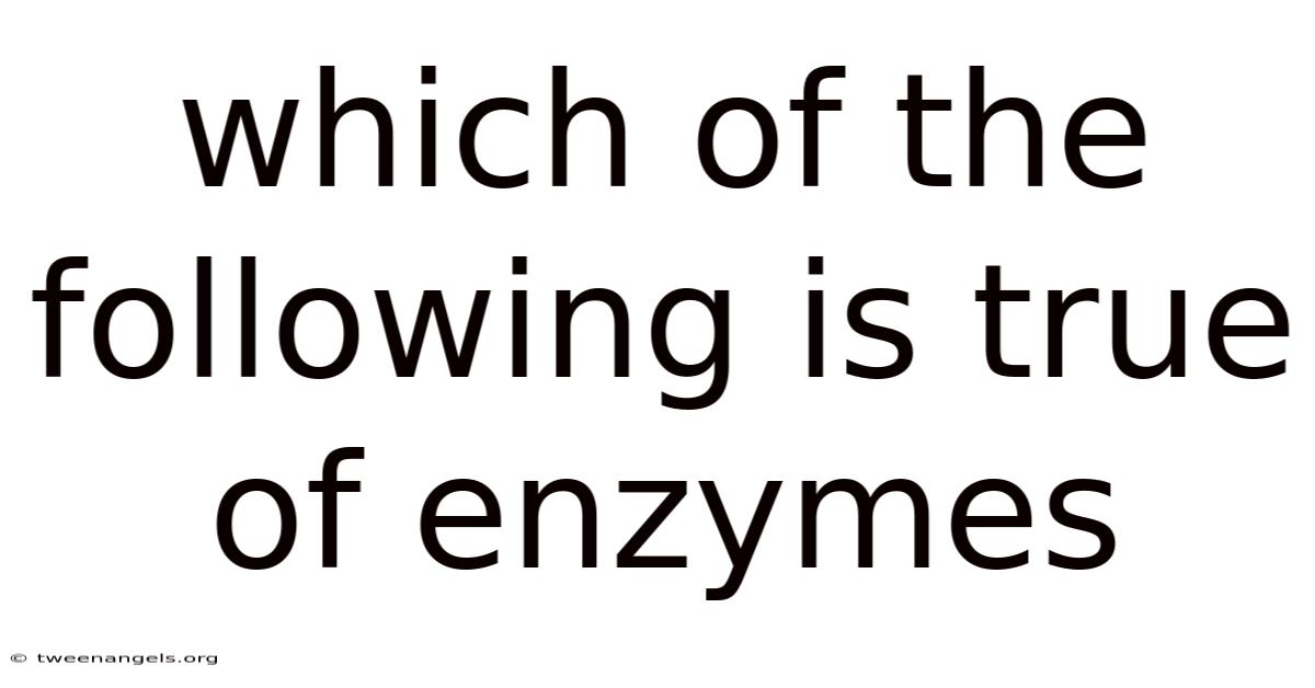 Which Of The Following Is True Of Enzymes