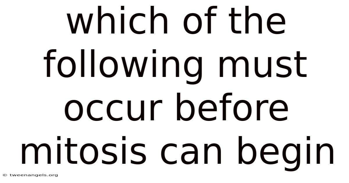 Which Of The Following Must Occur Before Mitosis Can Begin