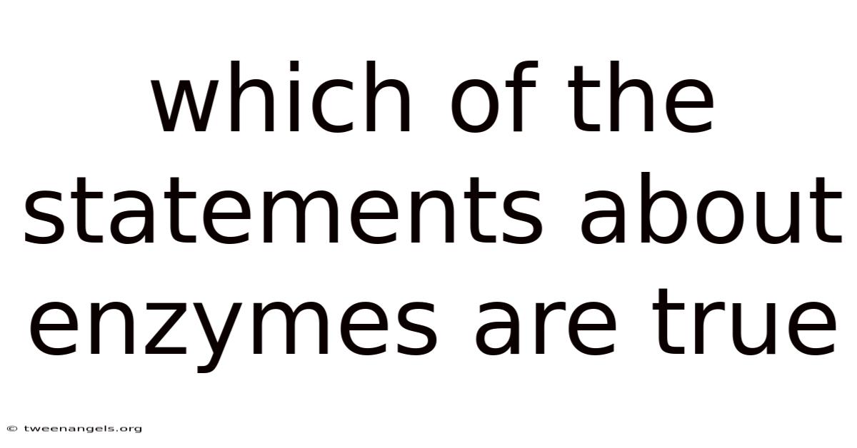 Which Of The Statements About Enzymes Are True