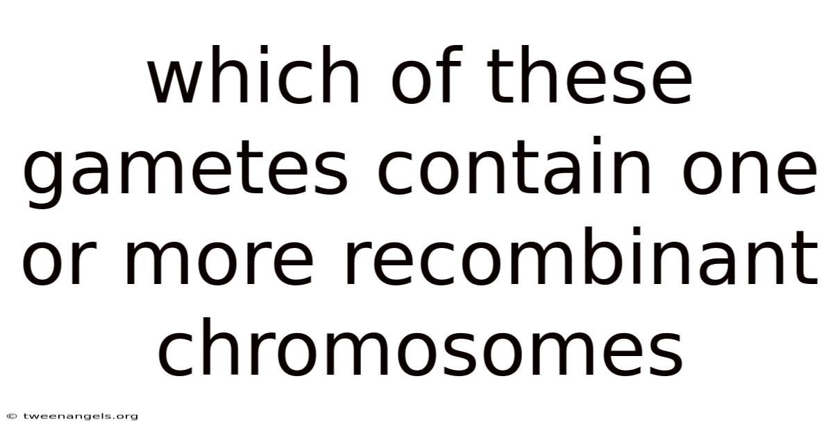 Which Of These Gametes Contain One Or More Recombinant Chromosomes