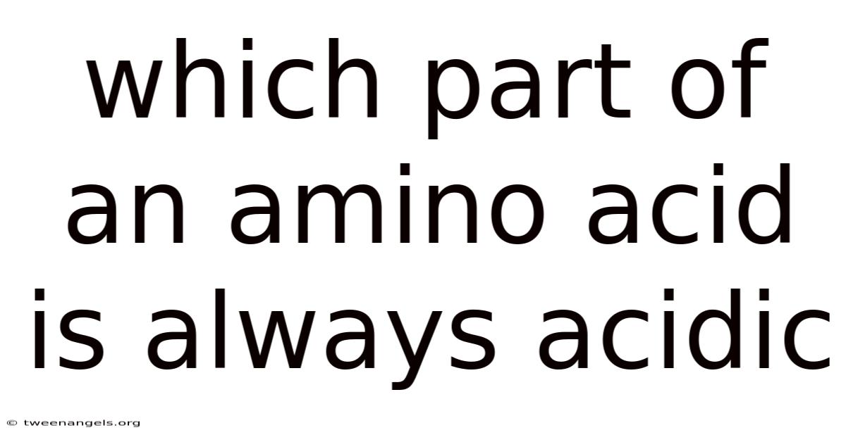 Which Part Of An Amino Acid Is Always Acidic