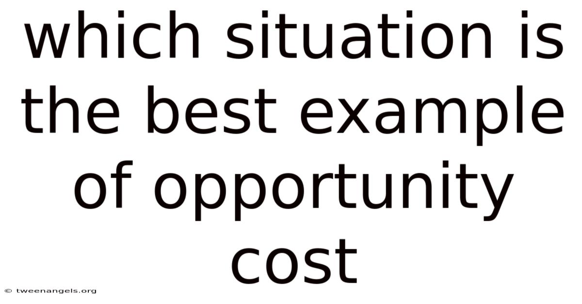 Which Situation Is The Best Example Of Opportunity Cost