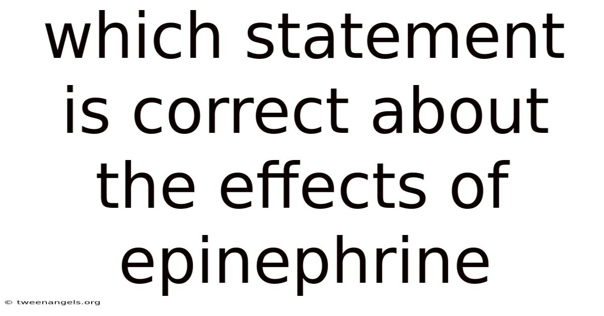 Which Statement Is Correct About The Effects Of Epinephrine