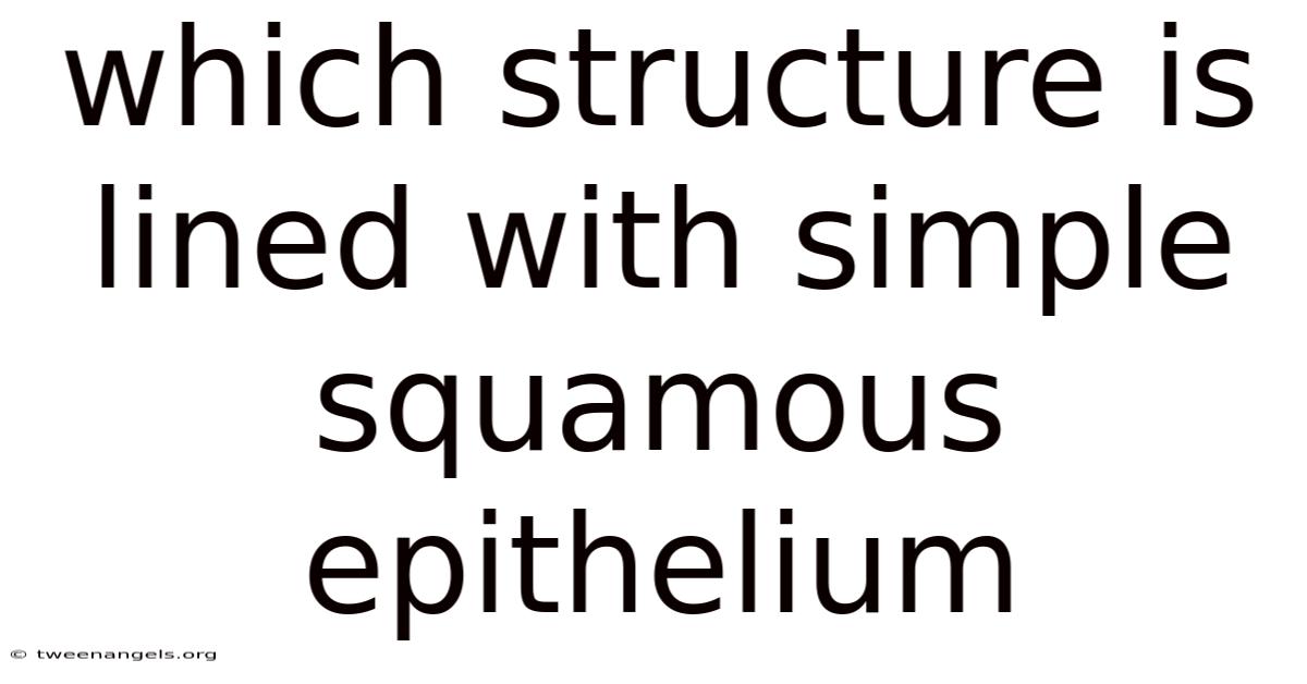 Which Structure Is Lined With Simple Squamous Epithelium