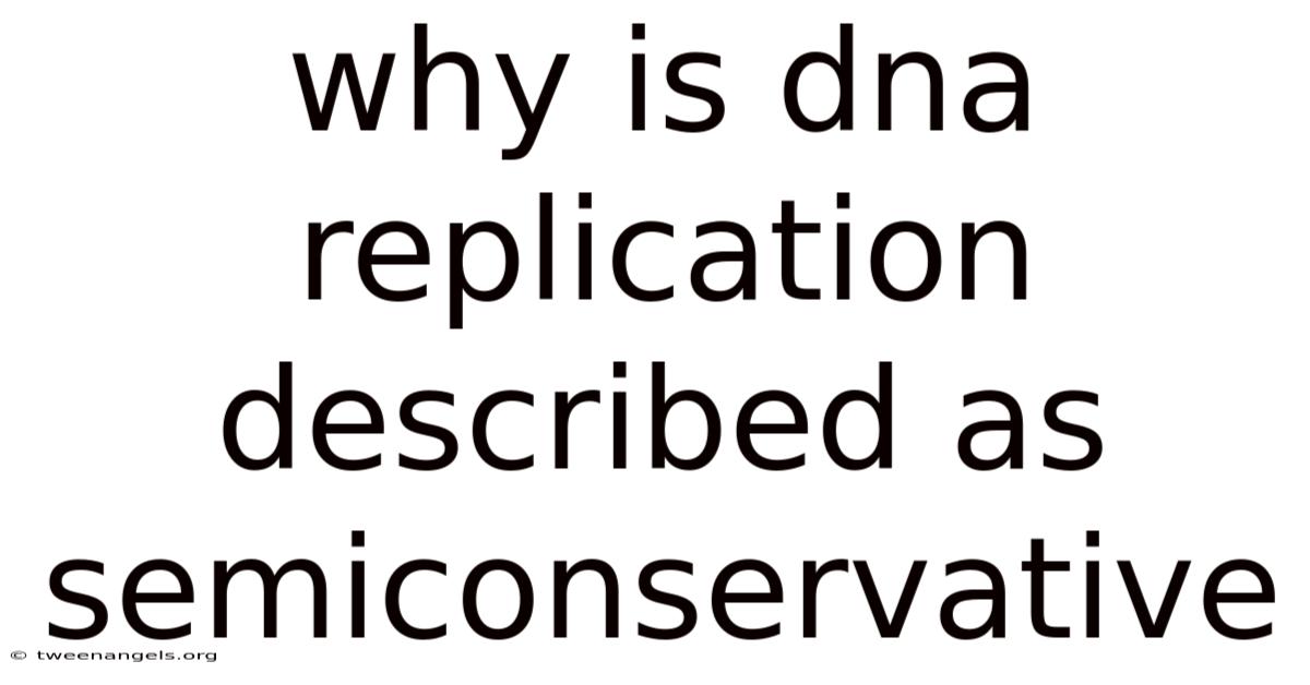 Why Is Dna Replication Described As Semiconservative