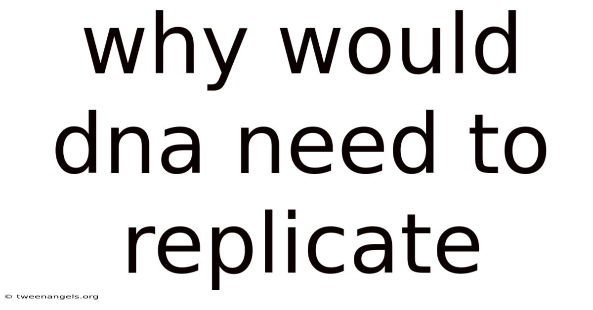 Why Would Dna Need To Replicate