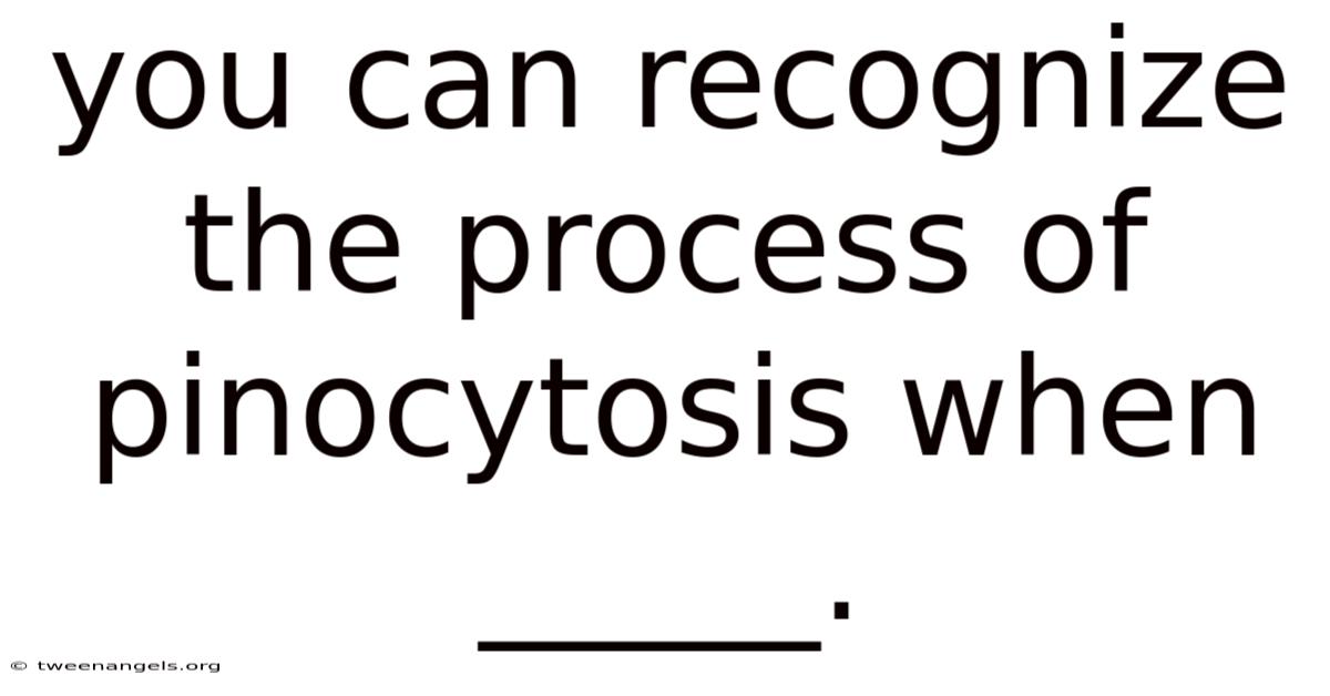 You Can Recognize The Process Of Pinocytosis When _____.